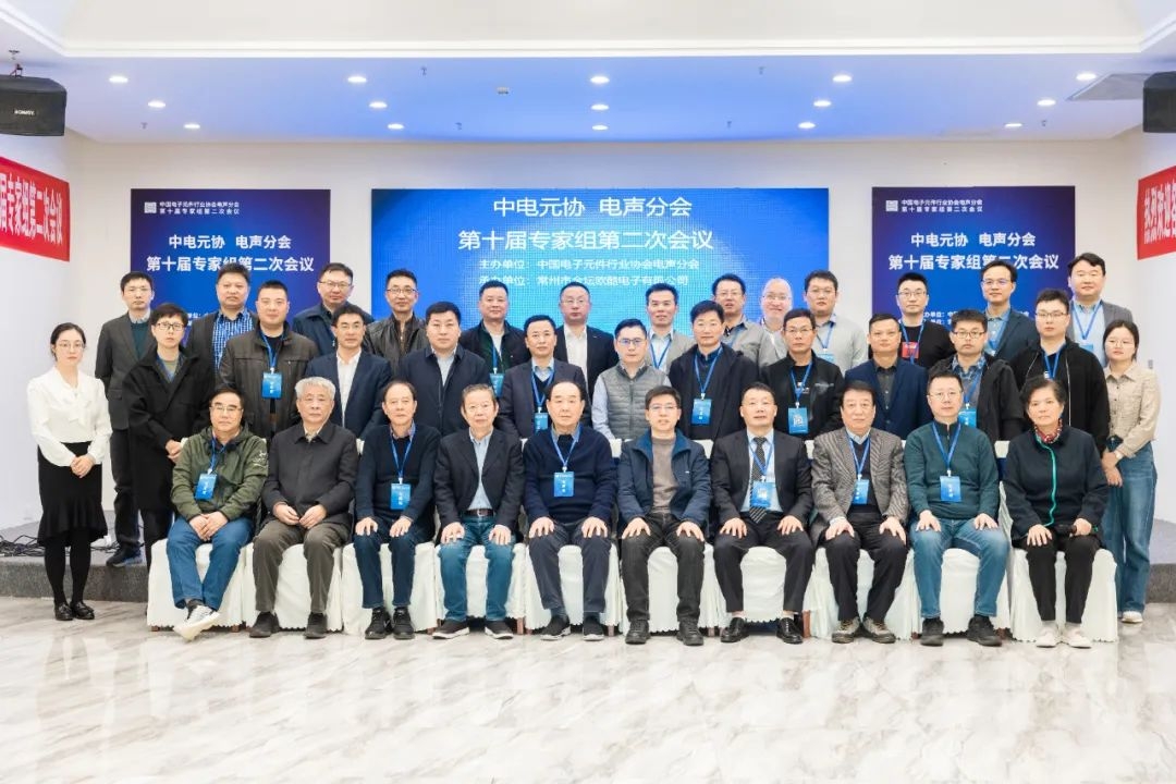Z6尊龙抖圈电声首席参与中国电子元件行业协会电声分会会议
